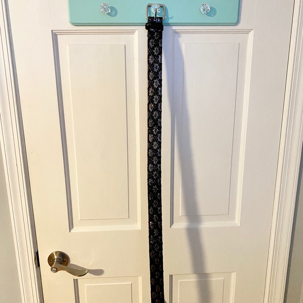 Silver & Black Belt